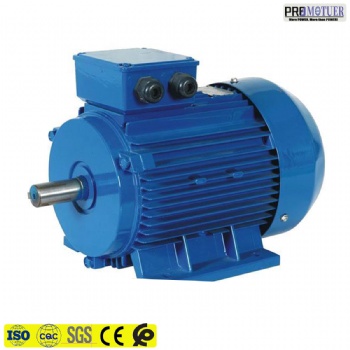 Y2 three phase electric motor