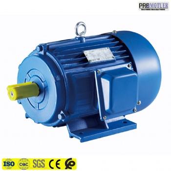 Y series three phase asynchronous motor