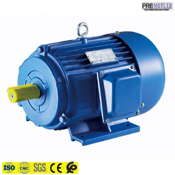 Y series three phase asynchronous motor