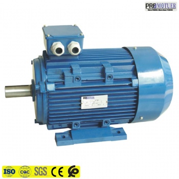 YE2 series high efficiency three phase asynchronous motor