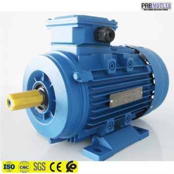 MS series aluminum housing asynchronous motor