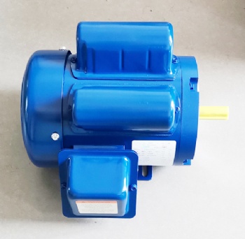 TEFC single phase NEMA motor