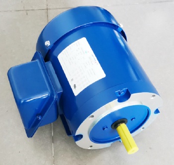 TEFC three phase NEMA motor