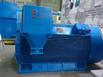 High Voltage Explosion-Proof induction motor